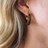 Brown Acrylic Earrings